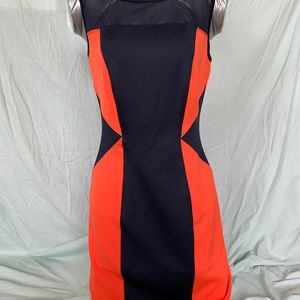 Body con knee length dress